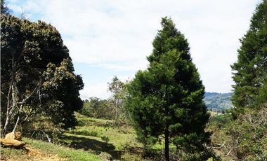 LOTE EN GUARNE DE 24.095 M2