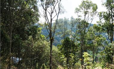 Venta | Lote con vista a la represa en El Retiro y bosque nativo