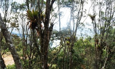 Venta | Lote con vista a la represa en El Retiro y bosque nativo