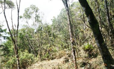 Venta | Lote con vista a la represa en El Retiro y bosque nativo