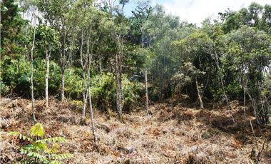 Venta | Lote con vista a la represa en El Retiro y bosque nativo
