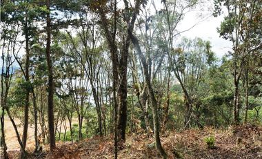 Venta | Lote con vista a la represa en El Retiro y bosque nativo