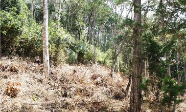Venta | Lote con vista a la represa en El Retiro y bosque nativo