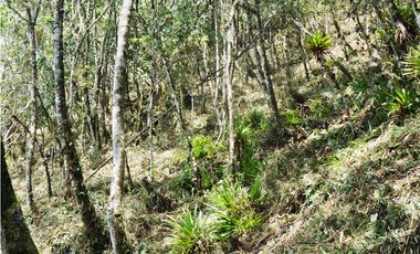 Venta | Lote con vista a la represa en El Retiro y bosque nativo