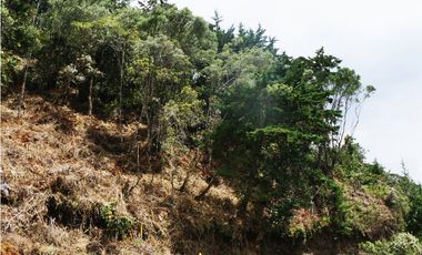 Venta | Lote con vista a la represa en El Retiro y bosque nativo