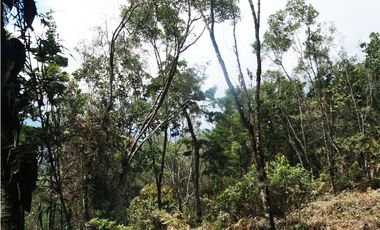 Venta | Lote con vista a la represa en El Retiro y bosque nativo
