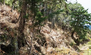Venta | Lote con vista a la represa en El Retiro y bosque nativo