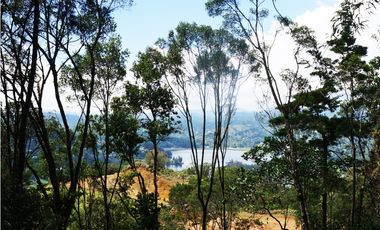Venta | Lote con vista a la represa en El Retiro y bosque nativo