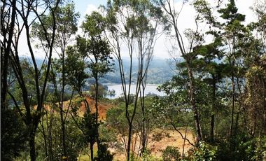 Venta | Lote con vista a la represa en El Retiro y bosque nativo