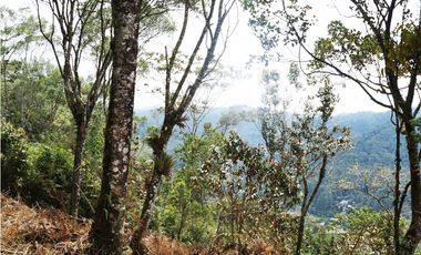 Venta | Lote con vista a la represa en El Retiro y bosque nativo
