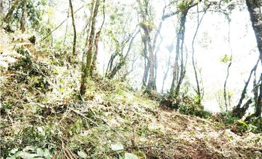 Venta | Lote con vista a la represa en El Retiro y bosque nativo