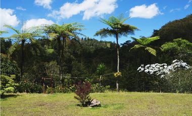 Venta casa campestre con bosque y subdivisión