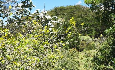 Venta casa campestre con bosque y subdivisión