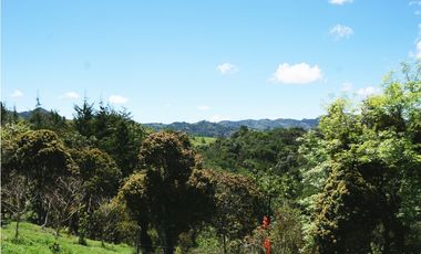 Venta casa campestre con bosque y subdivisión
