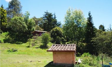 Venta casa campestre con bosque y subdivisión