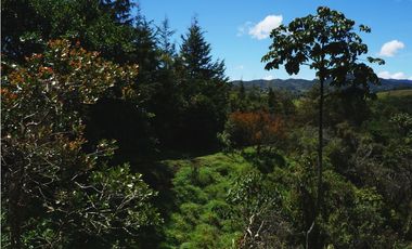 Venta casa campestre con bosque y subdivisión