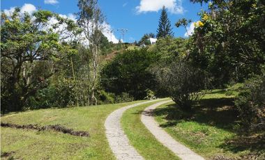 Venta casa campestre con bosque y subdivisión