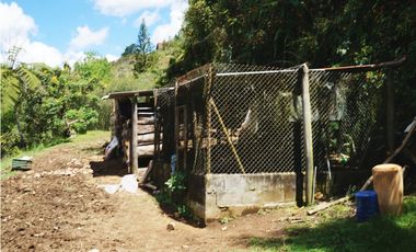 Venta casa campestre con bosque y subdivisión