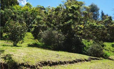 Venta casa campestre con bosque y subdivisión