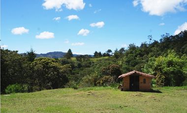 Venta casa campestre con bosque y subdivisión