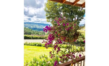 VENTA DE  FINCA GUARNE DE 178.526 M2 (17.85 H) CON 4 MATRICUALAS