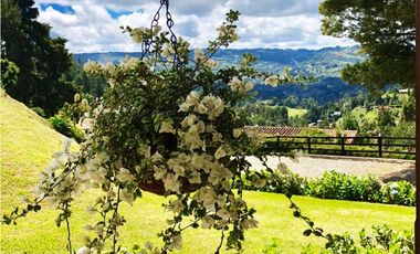 VENTA DE  FINCA GUARNE DE 178.526 M2 (17.85 H) CON 4 MATRICUALAS