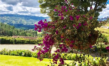 VENTA DE  FINCA GUARNE DE 178.526 M2 (17.85 H) CON 4 MATRICUALAS