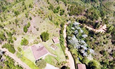 VENTA DE  FINCA GUARNE DE 178.526 M2 (17.85 H) CON 4 MATRICUALAS