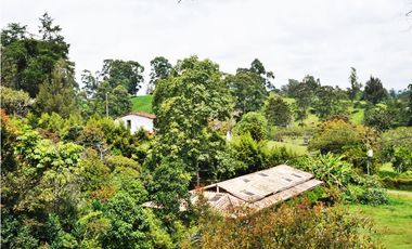FINCA VIA SAN ANTONIO LA CEJA DE 22.400 M2