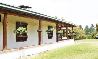 FINCA VIA SAN ANTONIO LA CEJA DE 22.400 M2
