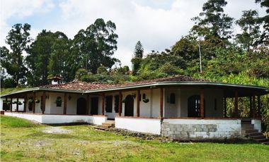 FINCA VIA SAN ANTONIO LA CEJA DE 22.400 M2