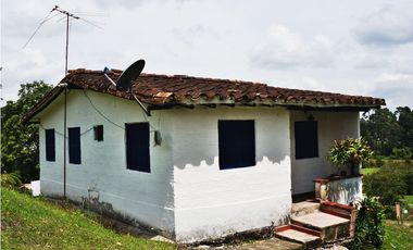 FINCA VIA SAN ANTONIO LA CEJA DE 22.400 M2