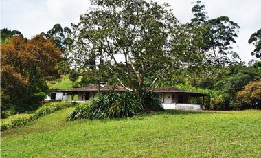 FINCA VIA SAN ANTONIO LA CEJA DE 22.400 M2