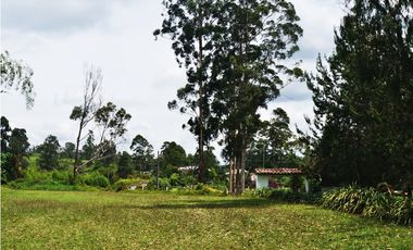 FINCA VIA SAN ANTONIO LA CEJA DE 22.400 M2