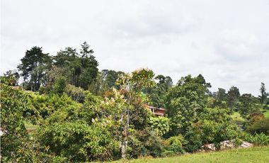 FINCA VIA SAN ANTONIO LA CEJA DE 22.400 M2