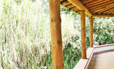 FINCA VIA SAN ANTONIO LA CEJA DE 22.400 M2