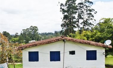 FINCA VIA SAN ANTONIO LA CEJA DE 22.400 M2