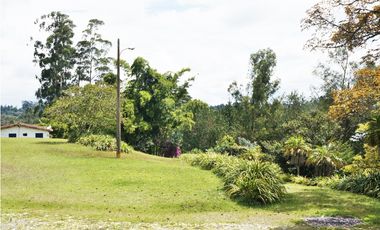 FINCA VIA SAN ANTONIO LA CEJA DE 22.400 M2