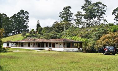 FINCA VIA SAN ANTONIO LA CEJA DE 22.400 M2