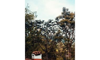 FINCA EL RETIRO CON 5 CONSTRUCCIONES