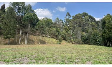 Venta de lote campestre independiente 5.744 m² en Rionegro, Antioquia