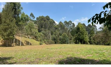 Venta de lote campestre independiente 5.744 m² en Rionegro, Antioquia