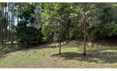 Venta de lote campestre independiente 5.744 m² en Rionegro, Antioquia