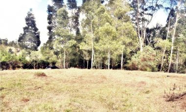 LOTE CON 8.300 M² PARCELACION ABIERTA EN VEREDA LOS PINOS