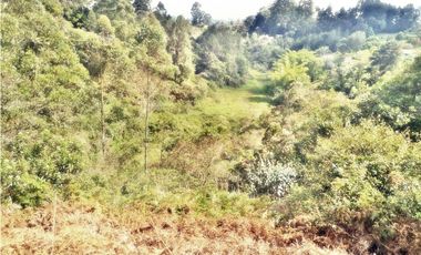 LOTE CON 8.300 M² PARCELACION ABIERTA EN VEREDA LOS PINOS