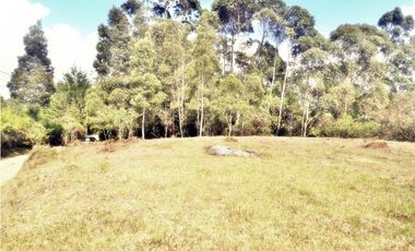 LOTE CON 8.300 M² PARCELACION ABIERTA EN VEREDA LOS PINOS