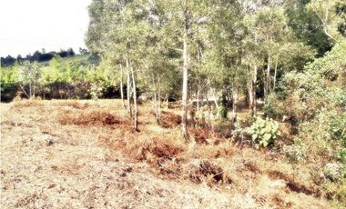 LOTE CON 8.300 M² PARCELACION ABIERTA EN VEREDA LOS PINOS