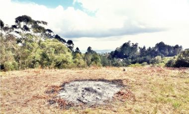 LOTE CON 8.300 M² PARCELACION ABIERTA EN VEREDA LOS PINOS