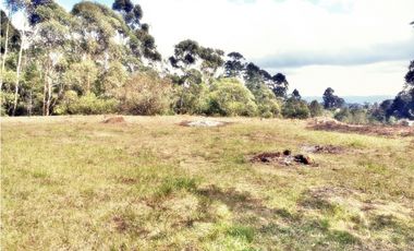 LOTE CON 8.300 M² PARCELACION ABIERTA EN VEREDA LOS PINOS