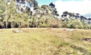 LOTE CON 8.300 M² PARCELACION ABIERTA EN VEREDA LOS PINOS